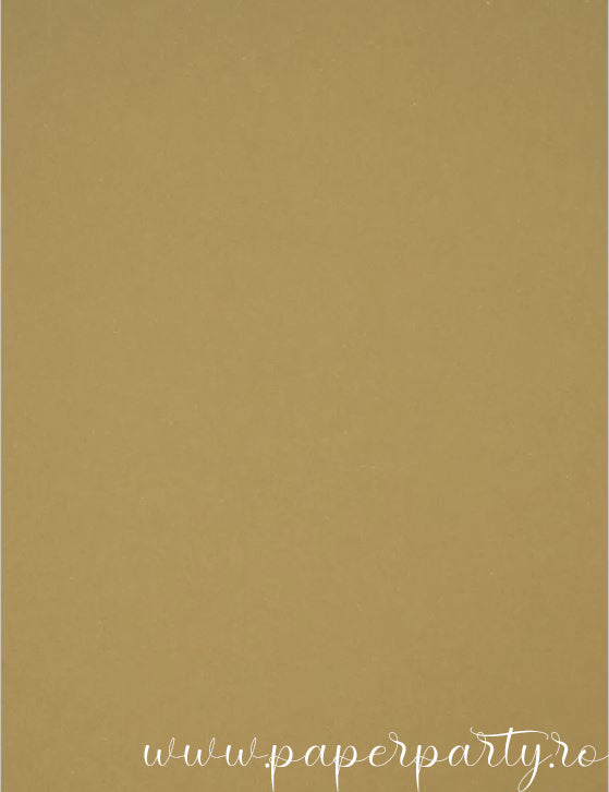 Carton Color mat Maro deschis 250g - A4