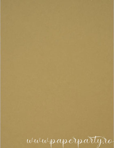 Carton Color mat Maro deschis 250g - A4