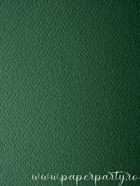 Carton Color mat Verde padure texturat 220g - A4