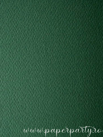 Carton Color mat Verde padure texturat 220g - A4